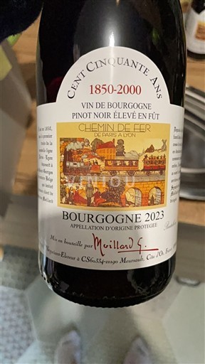 Burgundy Meilland Chemin de Fer de Paris à Lyon Cent Cinquante Ans 2023