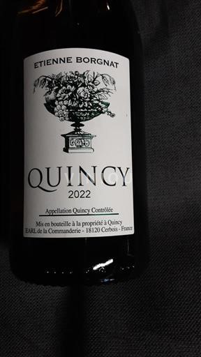 Луарська долина Кенсі Etienne Borgnat 2022