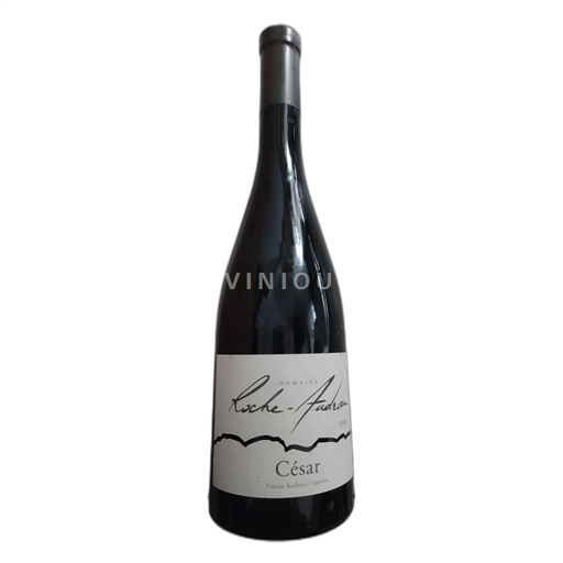 Rhônetal Côtes du Rhône Domaine Roche Audran César 2020