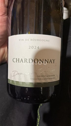 Burgundy Domaine Divien 2024