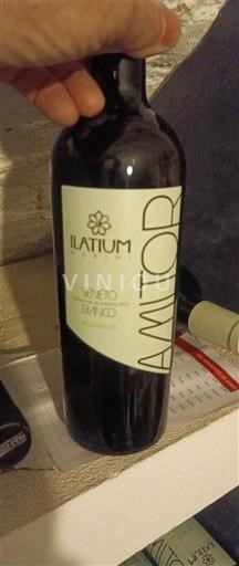 Vêneto Não especificado Latium Amitor 2023