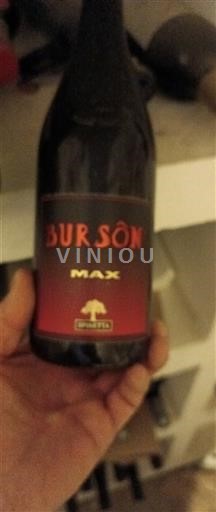 Emilia-Romagna Wines Ravenna Longanesi Max 2012