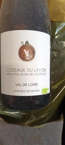Loire Valley Coteaux du Layon Vignoble des Bastais Non-Vintage