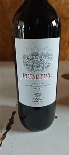 Puglia Susumaniello Salento Ubaldi Primitivo 2023