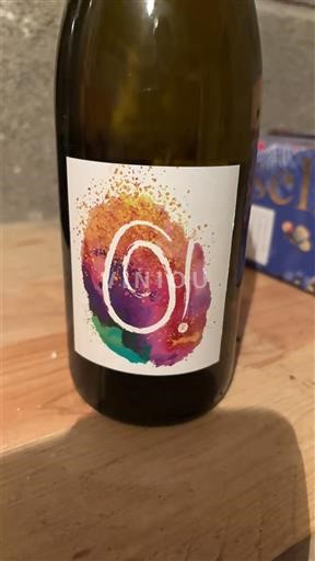 Southwest Côtes de Gascogne Domaine Picardon O! Non-Vintage