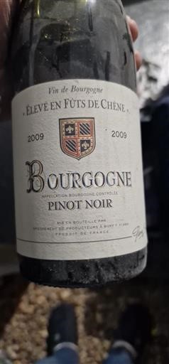 Borgogna Élevé en Fûts de Chêne 2009