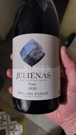 Beaujolais Juliénas Benjamin Passot Vaux 2020