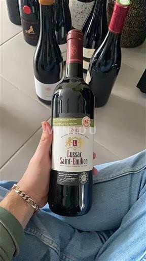 Bordeaux Lussac-saint-émilion Château La Rose Perrière 2022