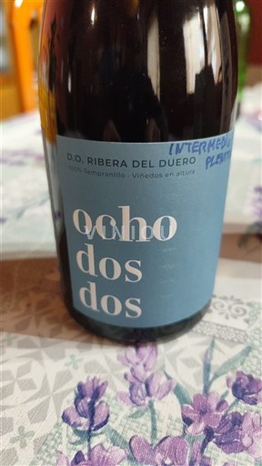 Castilien og León Ribera del Duero Ocho Dos Dos 2021