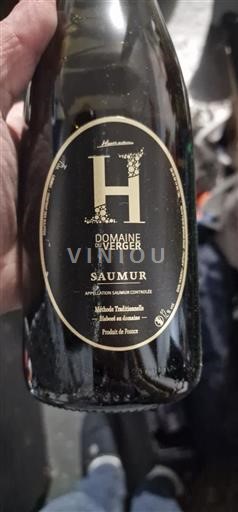 Valle della Loira Saumur Domaine Verger H 2020