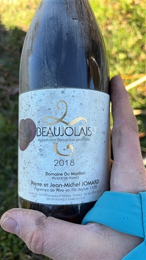 Beaujolais Domaine Morillon 2018