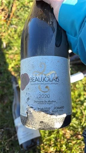 Beaujolais Domaine Morillon 2020