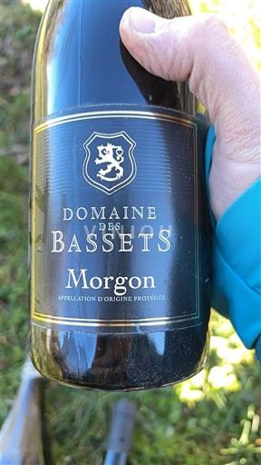 Beaujolais Morgon Domaine S Bassets 2021