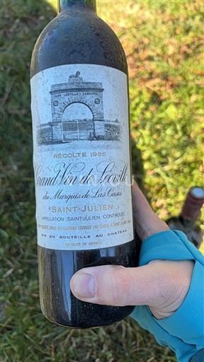 Bordeaux Saint-Julien Château Léoville-Las Cases Grand Vin de Léoville du Marquis de Las Cases 1985