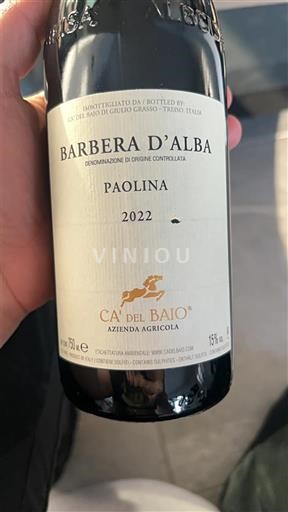 Piamonte Barbera d'Alba Ca' del Baio Paolina 2022