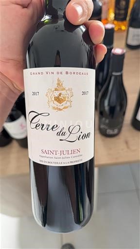 Bordeaux Saint-Julien Terre du Lion 2017