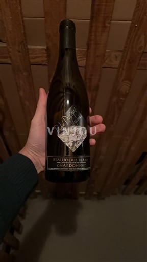 Beaujolais Không được chỉ định Didier desvignes 2024