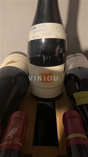 Wijnen Rouge sec Domaine Audoin 2020 Frankrijk Bourgondië Gevrey-Chambertin AOC