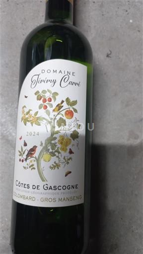 Sudoeste Côtes de Gascogne Domaine Jérémy Carrié 2024