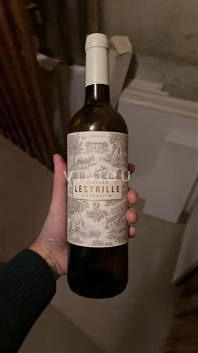 Burdeos Bordeaux Château Lestrille 2023