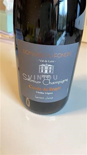 Thung lũng sông Loire Saumur-champigny Domaine Fondis de Bruyn Vieilles Vignes 2022