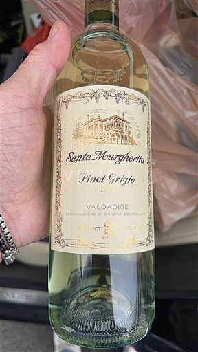 Vénétie Valdadige Santa Margherita Pinot Grigio 2021