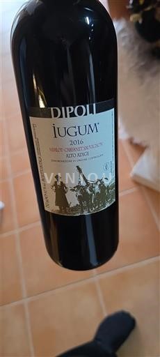 Wines of Veneto Valdadige Dipoli Iugum 2016