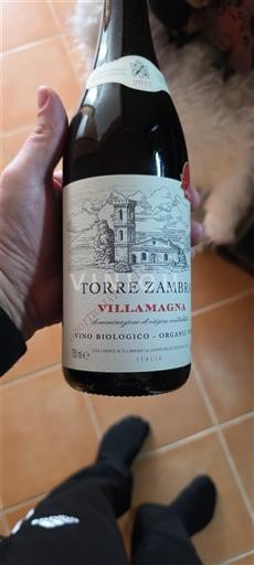 Wines of Veneto Vallagarina Torre Zambra Villamagna 2022