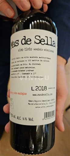 Murcia Alicante Mas de Sella vendimia seleccionada 2018