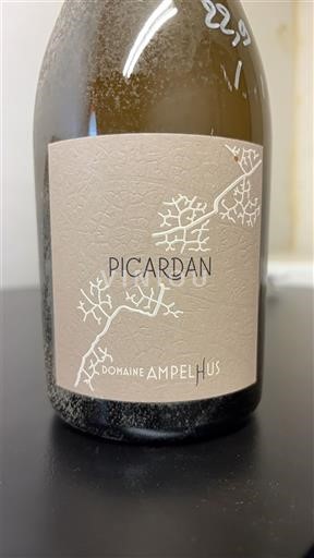 Rhônedalen Côtes du Rhône Domaine Ampelhus Picardan 2020