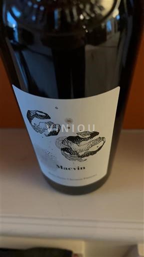 Jura Rượu Macvin-du-jura Marie-Pierre Chevassu-Fassenet Không niên vụ