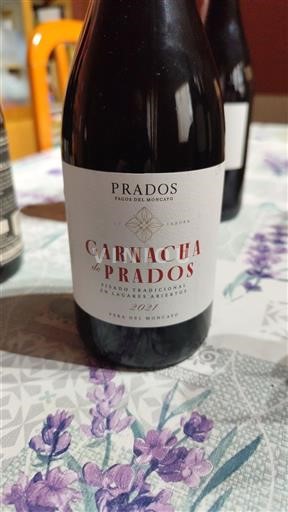 Aragonien Campo de Borja Prados Garnacha de Prados 2021