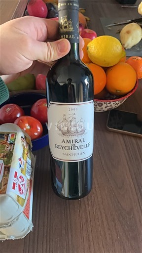 Bordeaux Saint-Julien Amiral de Beychevelle 2009
