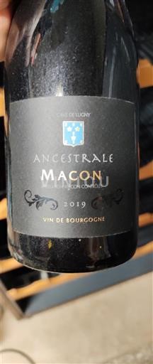Bourgogne Mâcon et mâcon-villages Louis Delaunay Ancestrale 2019