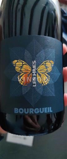 Dolina Loare Bourgueil Les Haies 2020