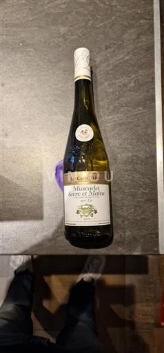Valle della Loira Muscadet Sèvre et Maine Les Grands Chais 2023