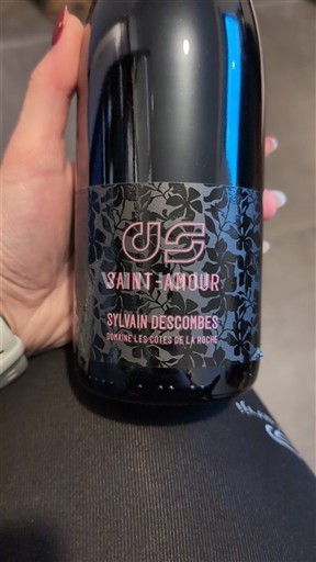 Beaujolais Saint-Amour Domaine Les Côtes de la Roche Non Millésimé