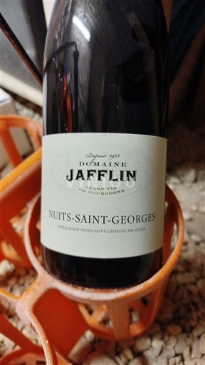 Bourgogne Nuits-Saint-Georges Domaine Jafflin Icke årgångsbetecknad