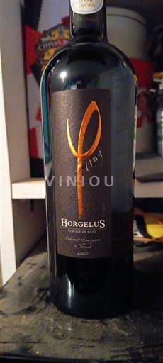 Südwestfrankreich Côtes de Gascogne Domaine Horgelus Lying 2020