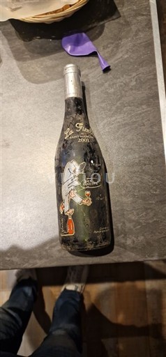 Valle della Loira Saint-Pourçain Les Vignerons de Saint-Pourçain La ficelle 2001