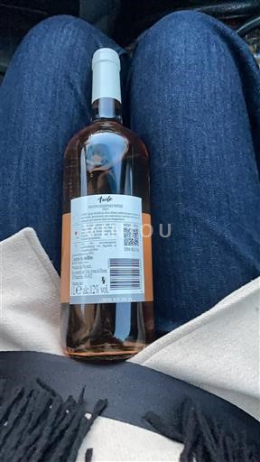 Languedoc in Roussillon Aude Aude Neleten.