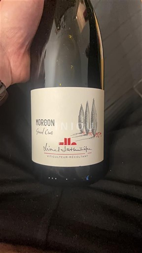Beaujolais Morgon Domaine Père Lathuilière Grand Cras 2022