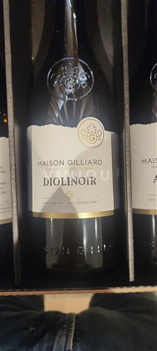 Valais Maison Gilliard Diolinoir 2020