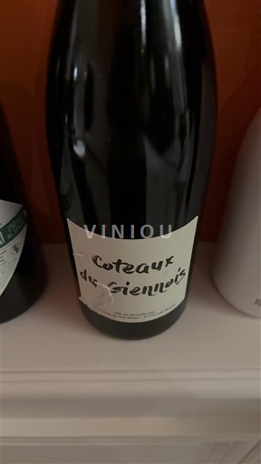 Valle della Loira Coteaux-du-giennois Clos du Tue-Bœuf Cotaux du viennois 2015