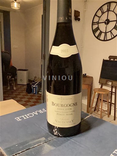 Bourgogne Bourgogne Côte d'Or Christophe Vaudoisey 2023