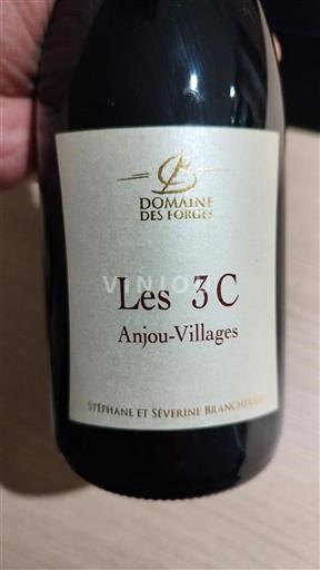Valle della Loira Anjou Villages Domaine S Forges Les 3C 2022