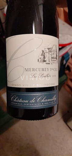 Borgoña Mercurey Premier Cru Château Chamirey Les Ruelles 2019