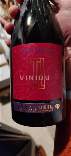 Thung lũng sông Loire Bourgueil Domaine Petit Bondieu Couplets 2023