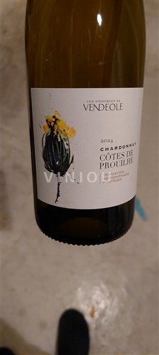 Linguadoca e Rossiglione Coteaux di Béziers Les Vignerons de Vendéole 2024