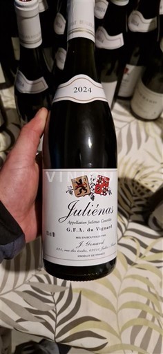Beaujolais Juliénas G.F.A. du Vignaud 2024